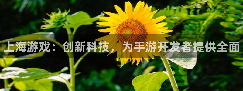 三牛娱乐管网客服电话：上海游戏：创新科技，为手游开发者提供全