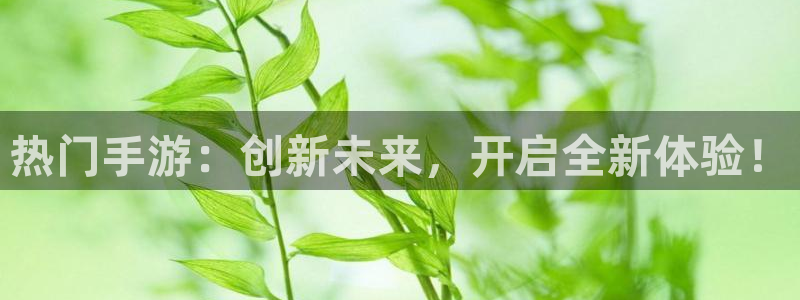 三牛娱乐负责人是谁：热门手游：创新未来，开启全新体验！