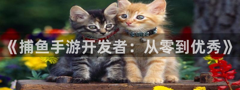 买三牛：《捕鱼手游开发者：从零到优秀》