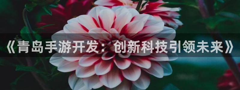 三牛娱乐管网客服电话：《青岛手游开发：创新科技引领未来》