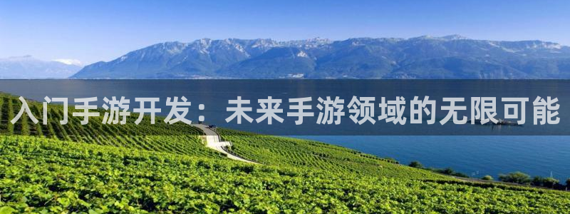 三牛娱乐负责人是谁：入门手游开发：未来手游领域的无限可能