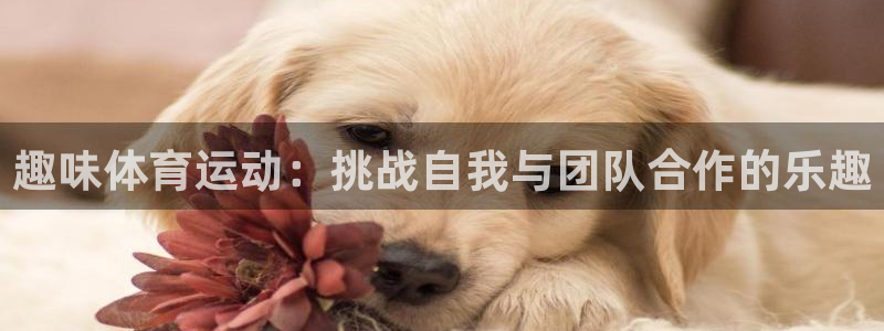 betway西汉姆官网