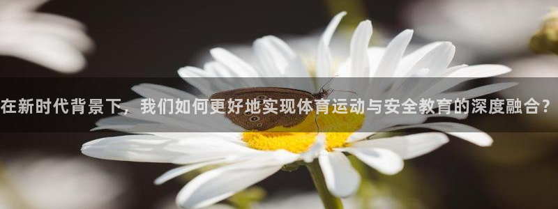 betway西汉姆联