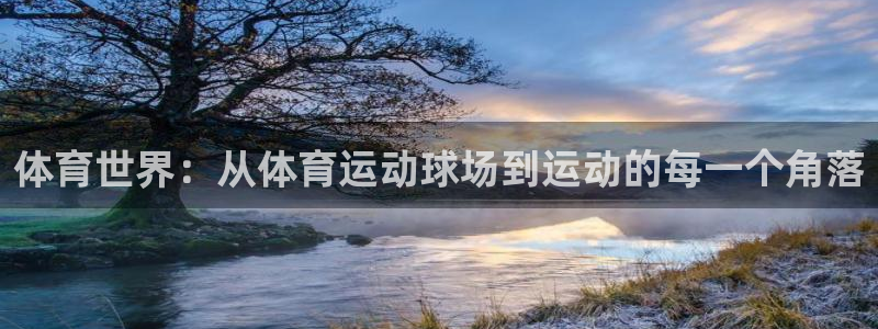 betway西汉姆官网：体育世界：从体育运动球场到运动的每一个角落
