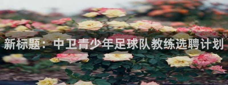 betway西汉姆：新标题：中卫青少年足球队教练选聘计划