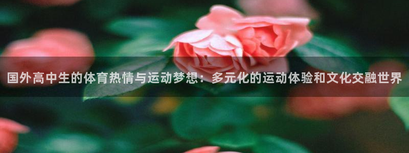 betway西汉姆：国外高中生的体育热情与运动梦想：多元化的运动体验和文化交融世界