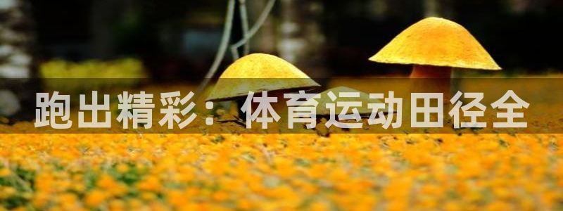 betway西汉姆：跑出精彩：体育运动田径全