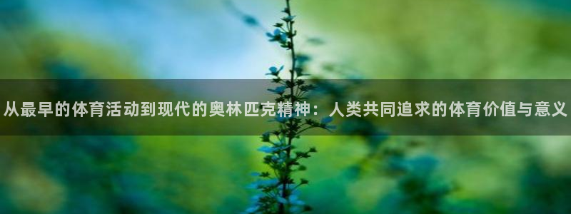 betway西汉姆：从最早的体育活动到现代的奥林匹克精神：人类共同追求的体育价值与意义